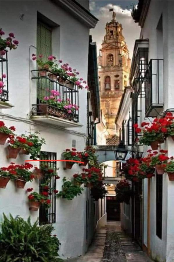 Apartamento La Magdalena قرطبة المظهر الخارجي الصورة